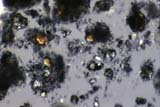 Mortar Under the Microscope