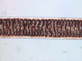 Mouse Guard 400X Main Shaft