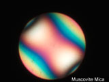 Biaxial Interference Figure