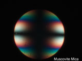 Biaxial Interference Figure