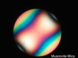 Biaxial Interference Figure