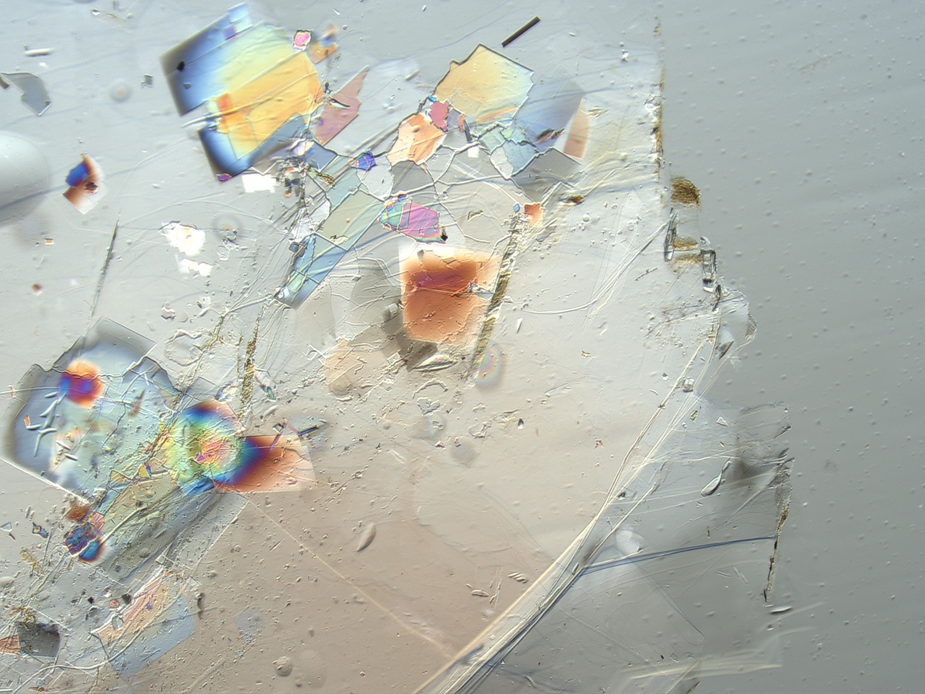 Muscovite