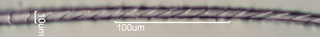 Muskrat Hair, Fleece Scale Cast