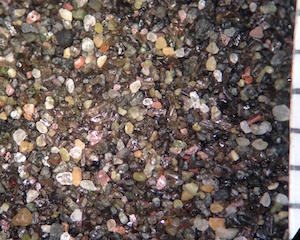 Sand, North Jetty Ocean Shores