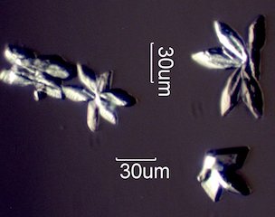 Magnesium Test