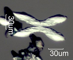 Magnesium Test
