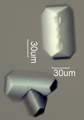Magnesium Test