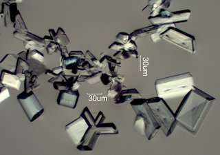 Magnesium Test