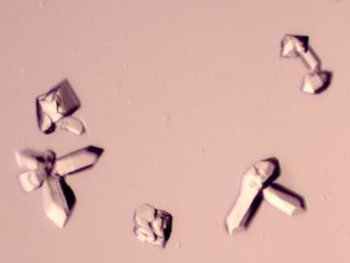 Zinc