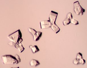 Zinc