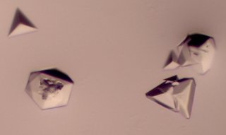 Zinc