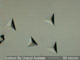 Sodium Uranyl Acetate