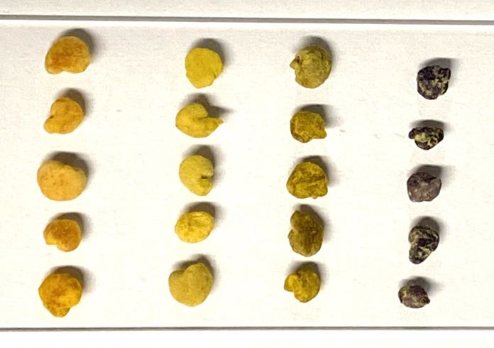 Bee Pollen