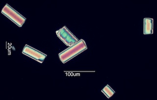 Sun Damaged Nylon Fiber