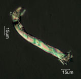 Nylon Fiber, Mechanical Damage