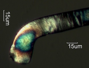 Nylon Fiber, Melt Termination
