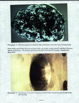 OCB Study