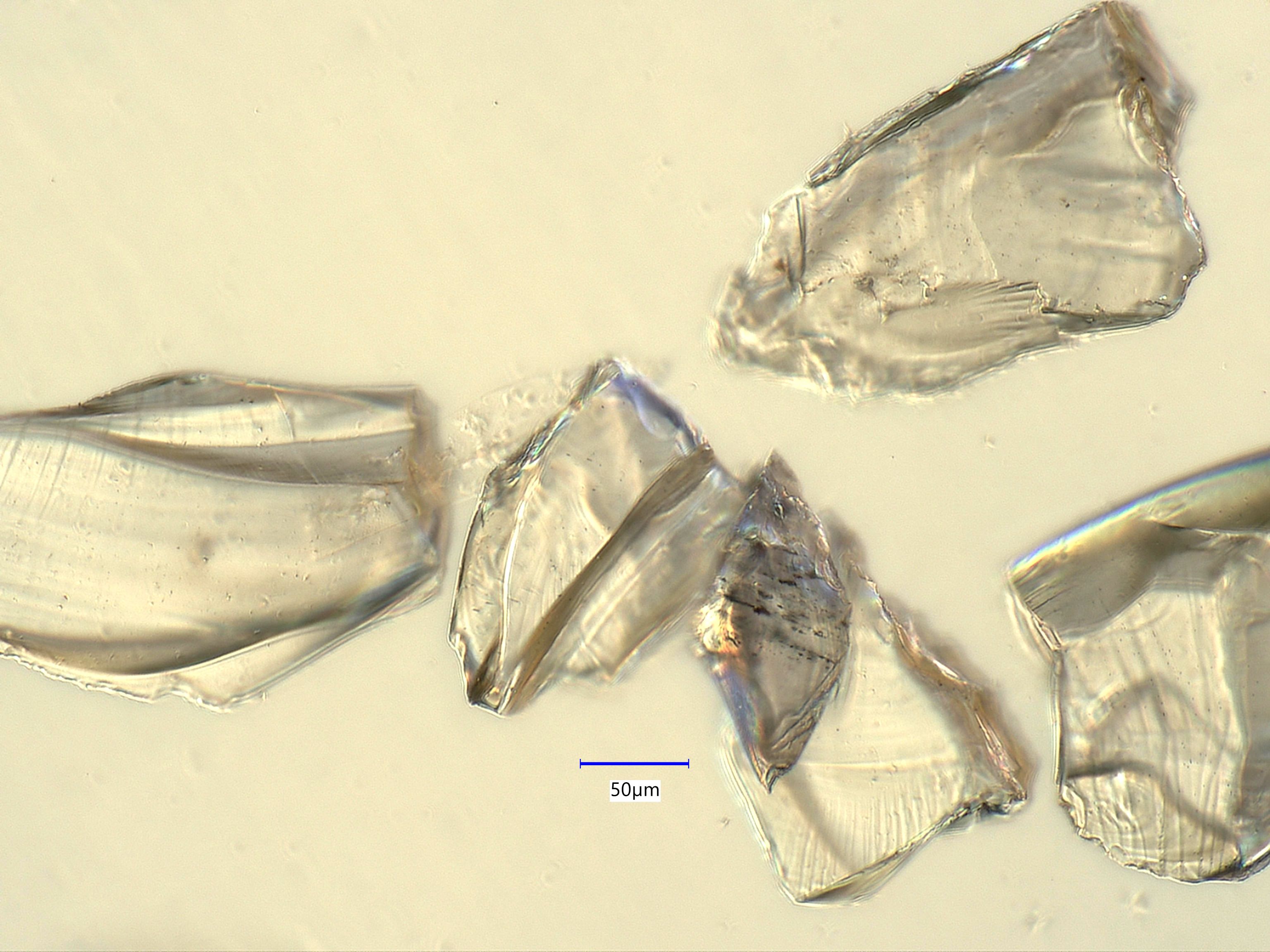 Obsidian Under the Microscope