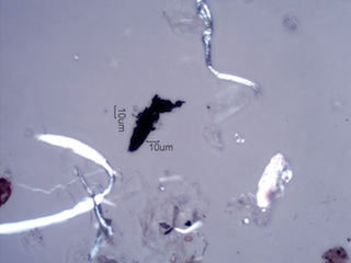 Black Particles in Homes Under the Microscope
