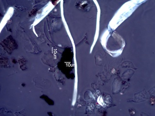 Black Particles in Homes Under the Microscope