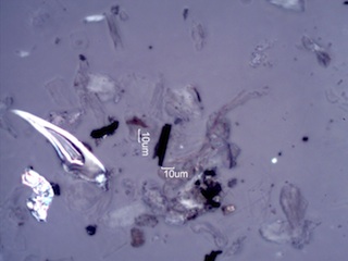 Black Particles in Homes Under the Microscope
