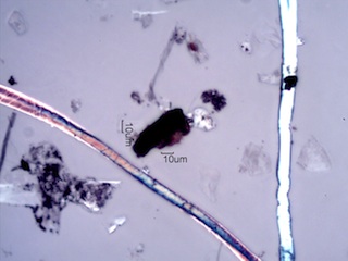 Black Particles in Homes Under the Microscope