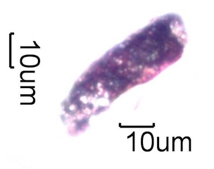 Black Particles in Homes Under the Microscope