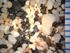Sand, Old Airport Beach, Hawaii (Big Island), Hawaii