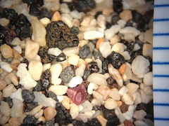 Sand, Old Airport Beach, Hawaii (Big Island), Hawaii