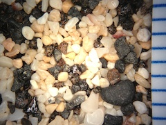 Sand, Old Airport Beach, Hawaii (Big Island), Hawaii