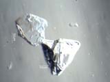Olivine