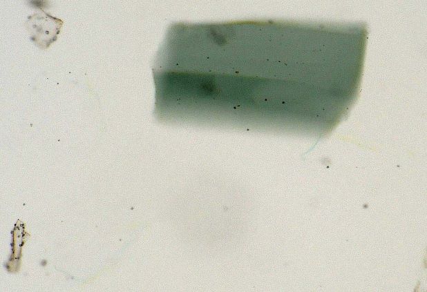 Hornblend and Optical Glass