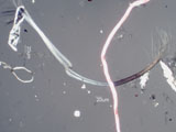Mechanically Stress Acrylic Fiber