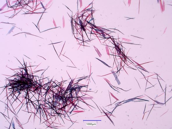 Populus balsamifera, Fibers