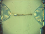 PDV Fold Macro