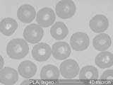 INGEO PLA Fiber, Cross-Section
