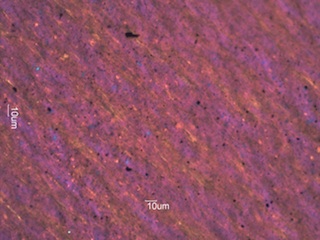 PM2.5 Particles