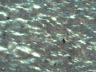 PM2.5 Particles
