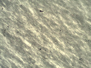 PM2.5 Particles