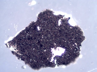 Woodstove Paint Flake