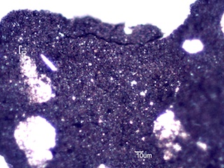 Woodstove Paint Flake
