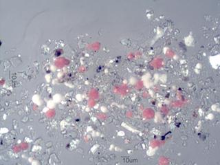 Paint Sphere Under the Microscope