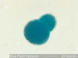 Paint Sphere Under the Microscope