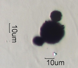 Paint Sphere Under the Microscope