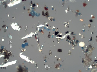 Body Shop Particles