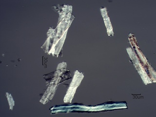 Paper Fibers with a DP of 160