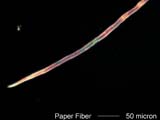 Paper Fiber