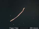 Paper Fiber