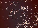 Lab Degraded Paper