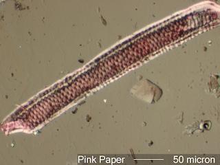 Red Paper Fiber